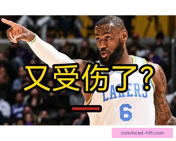 湖人队签约新援加强阵容詹姆斯伤势恢复良好目标争冠再升级